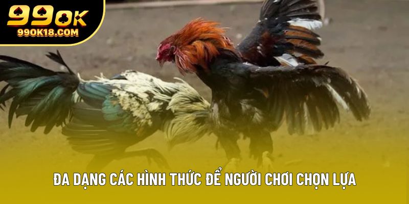 Đa dạng các hình thức để người chơi chọn lựa Đa dạng các hình thức để người chơi chọn lựa