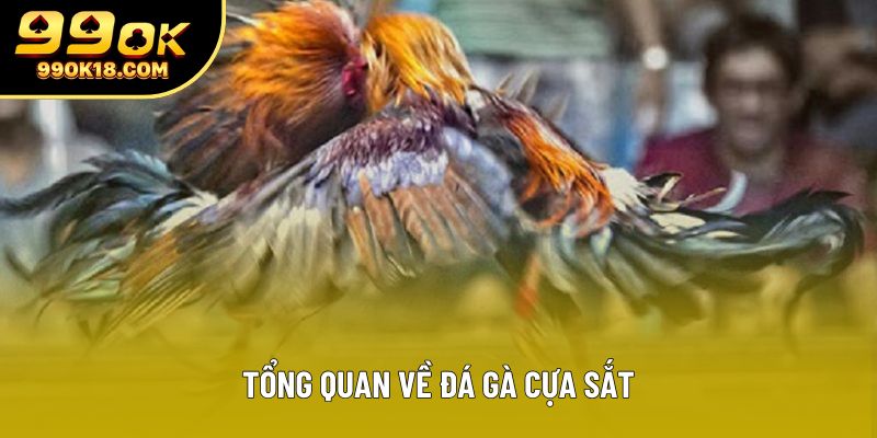 Tổng quan về đá gà cựa sắt Tổng quan về đá gà cựa sắt