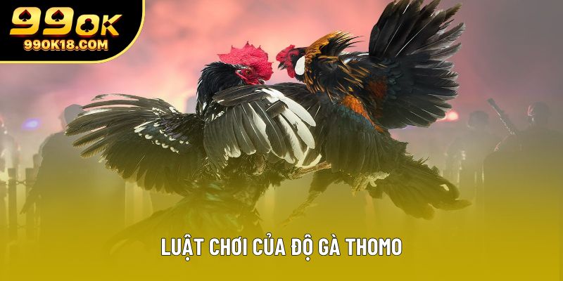 Luật chơi của độ gà Thomo