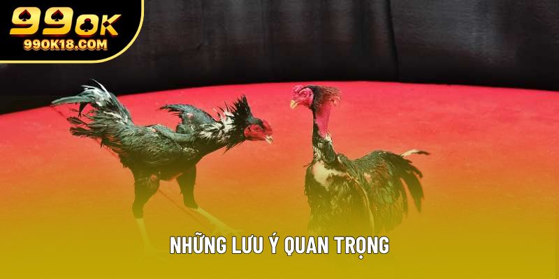 Những lưu ý quan trọng