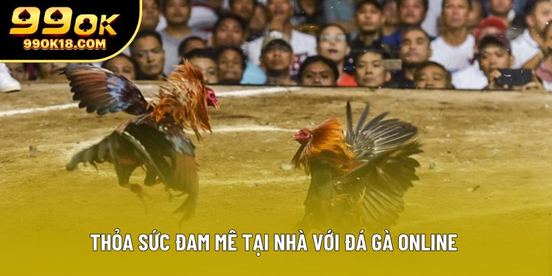 Thỏa sức đam mê tại nhà với đá gà online Thỏa sức đam mê tại nhà với đá gà online
